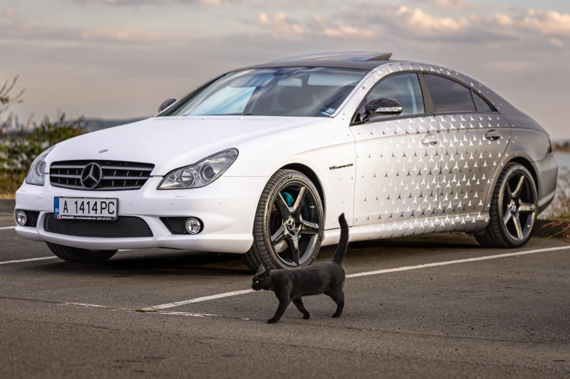 Mercedes-Benz CLS 55 AMG Petronas