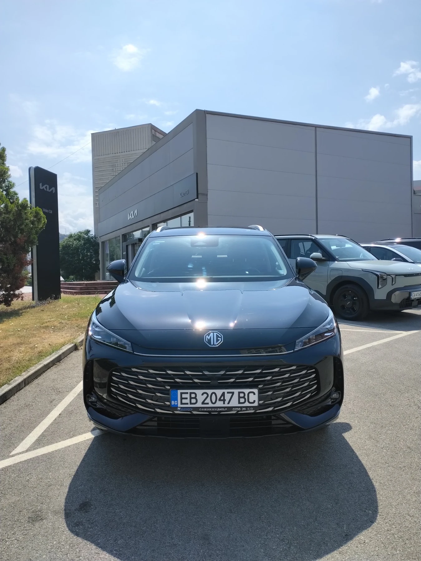 Mg HS