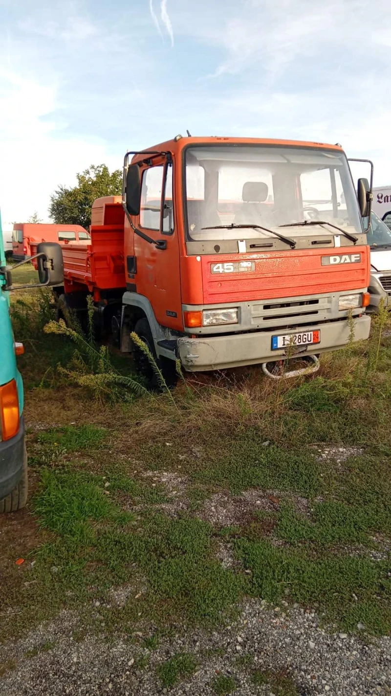 Daf 45.160 TDi, снимка 1 - Камиони - 48629039