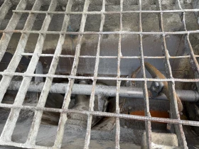 Бетон помпа Iveco Astra HD7/450K, снимка 5