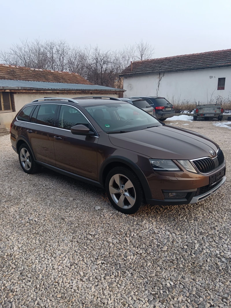 Skoda Octavia, снимка 5 - Автомобили и джипове - 49305247