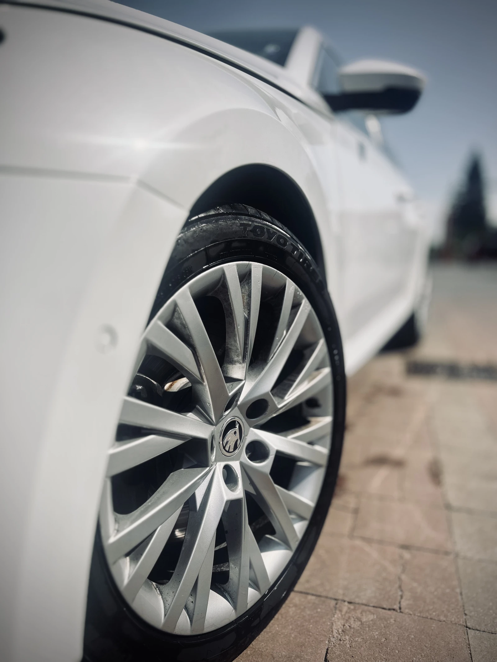 Skoda Superb  - изображение 4