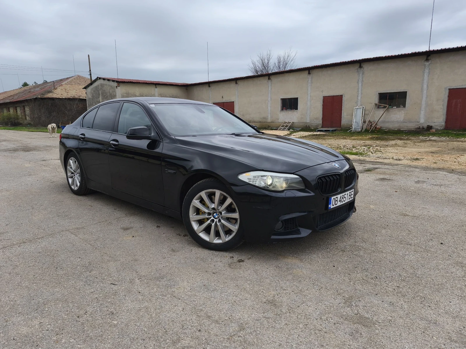 BMW 530 530D ЗАДНО