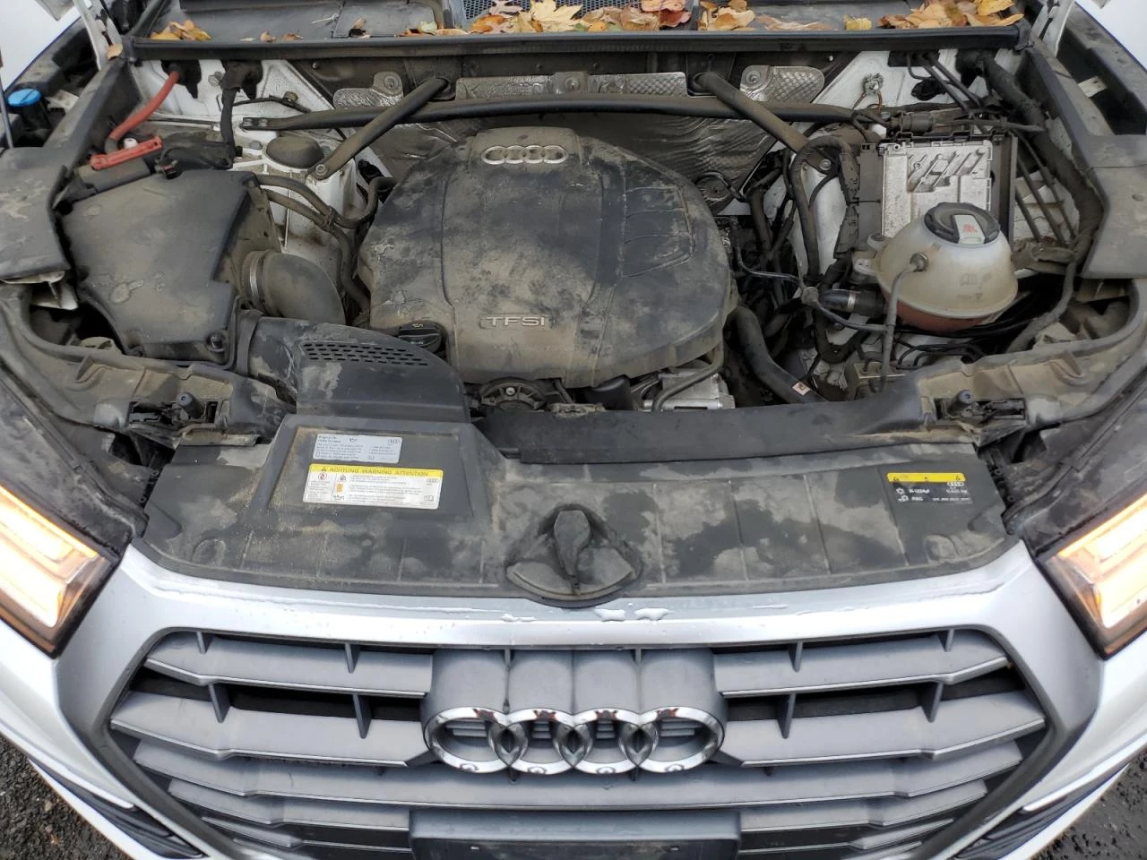 Audi Q5 * PREMIUM PLUS* QUATTRO* ����� �����*  | Mobile.bg � ����������� 12