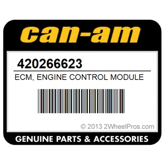 Can-Am Renеgade, снимка 2 - Части - 53021828