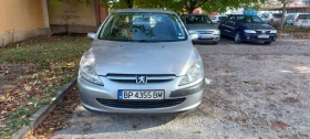     Peugeot 307 1.6i