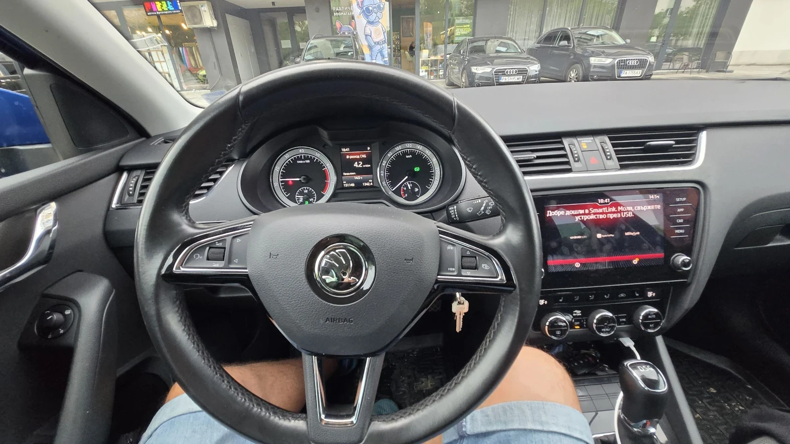 Skoda Octavia 1-ви Собственик - изображение 10