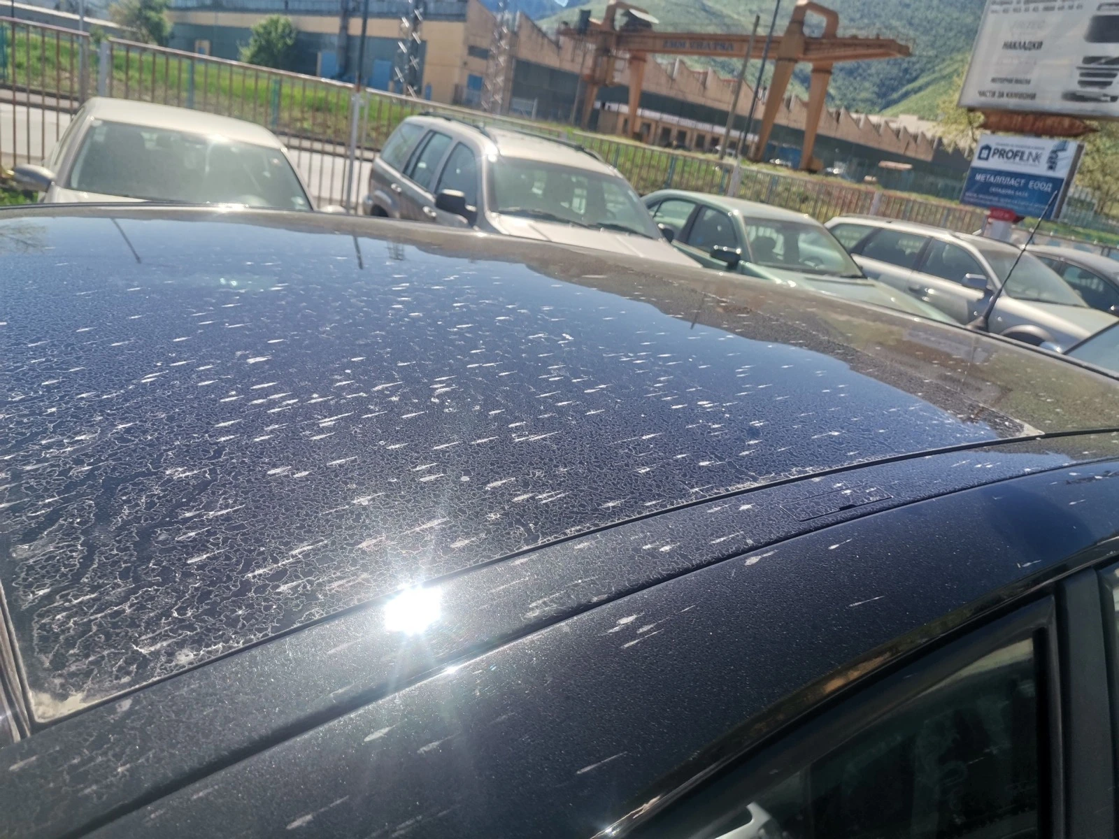 Renault Scenic 1.9DCI 130 F9Q k8 facelift | Mobile.bg   13