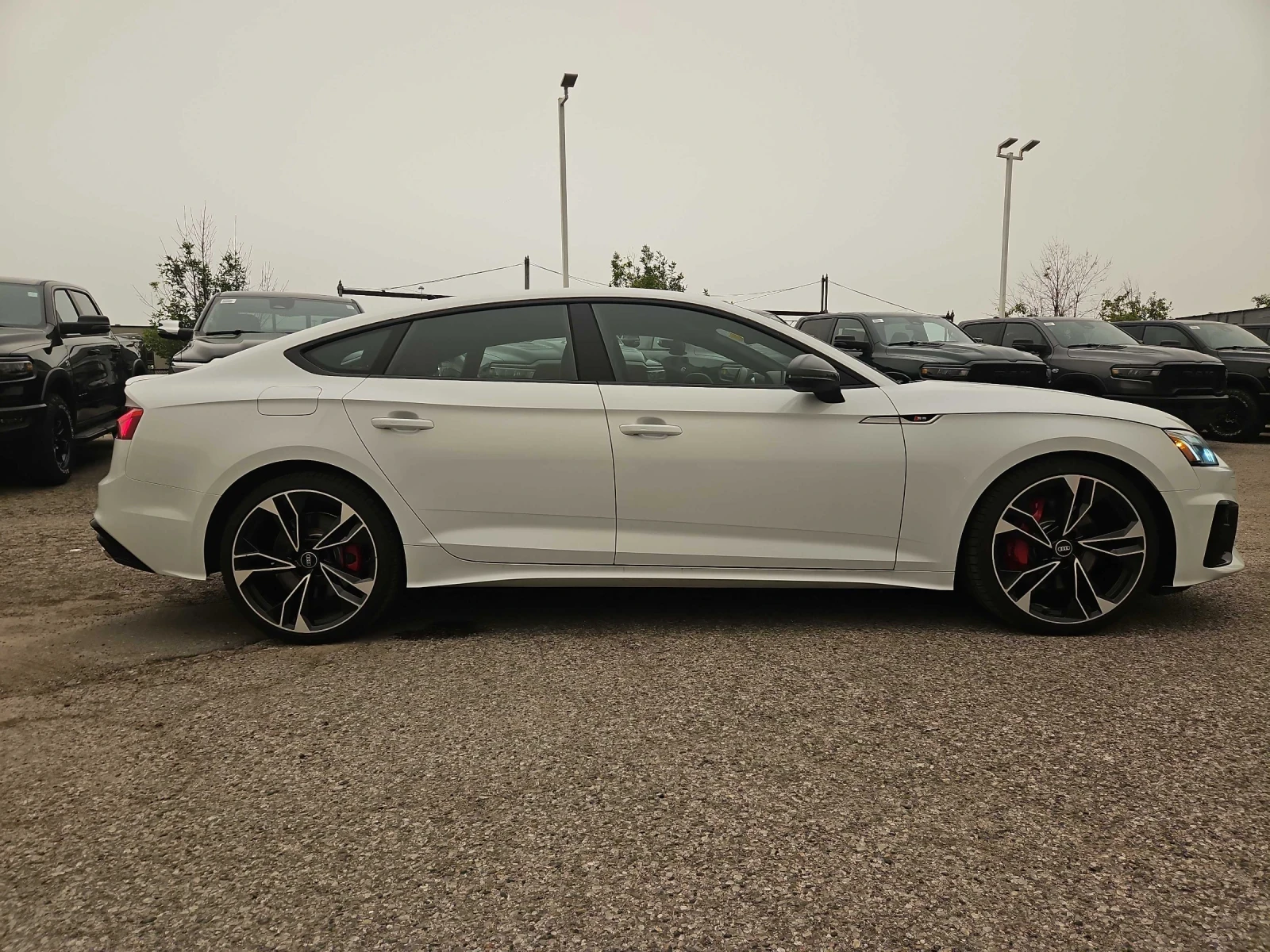Audi S5 TECHNIK / KEYLESS/ SHIBIDAH / CARFAX, снимка 3 - Автомобили и джипове - 55417396