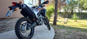 Honda Crf 300L | Mobile.bg    14