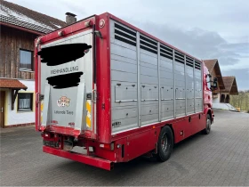 Scania R 520* Животновоз* Евро 6* Клима* Автоматик* Германи, снимка 4 - Камиони - 53633454