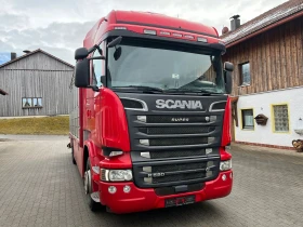 Scania R 520* Животновоз* Евро 6* Клима* Автоматик* Германи, снимка 7 - Камиони - 53633454
