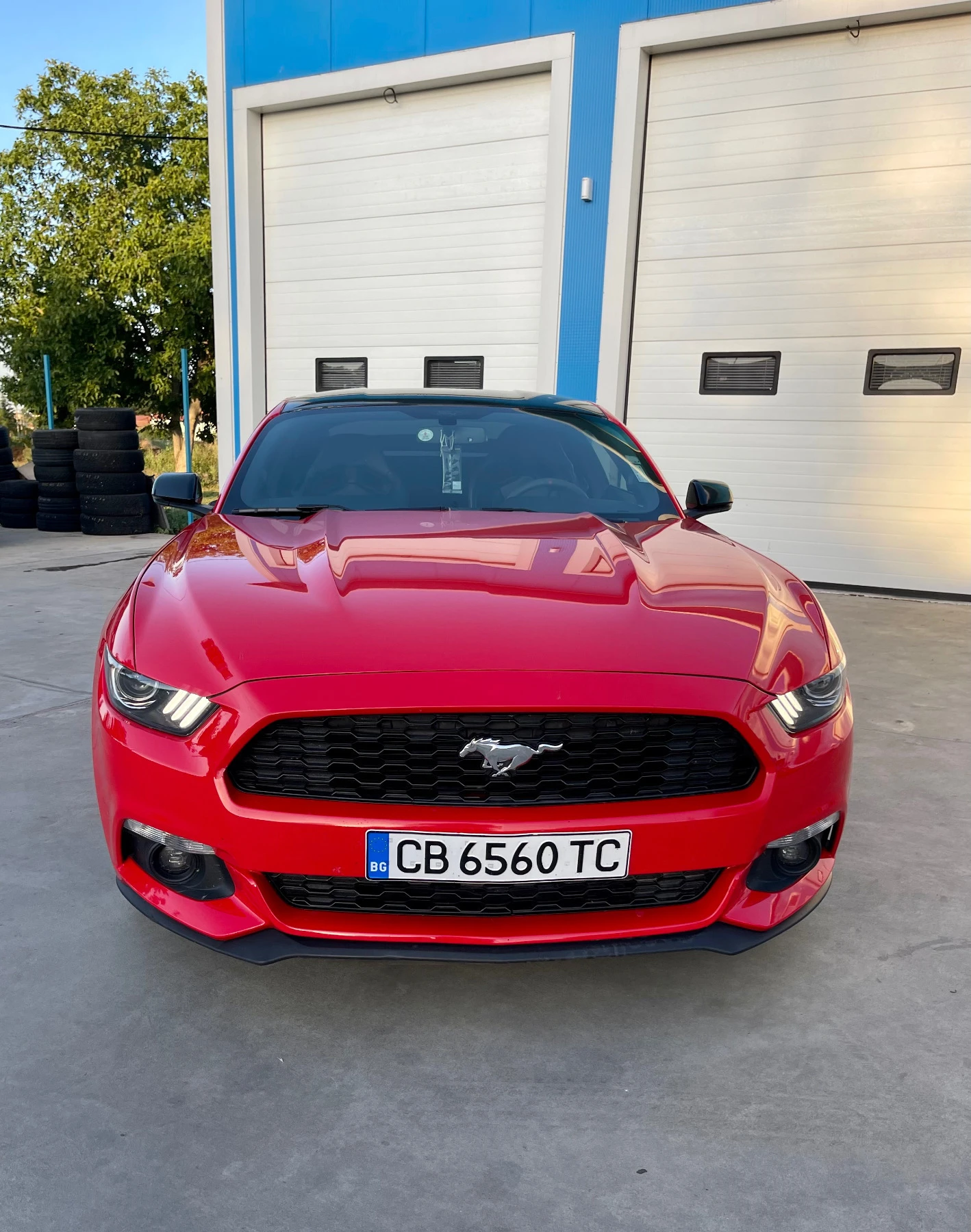 Ford Mustang Performance  - изображение 5