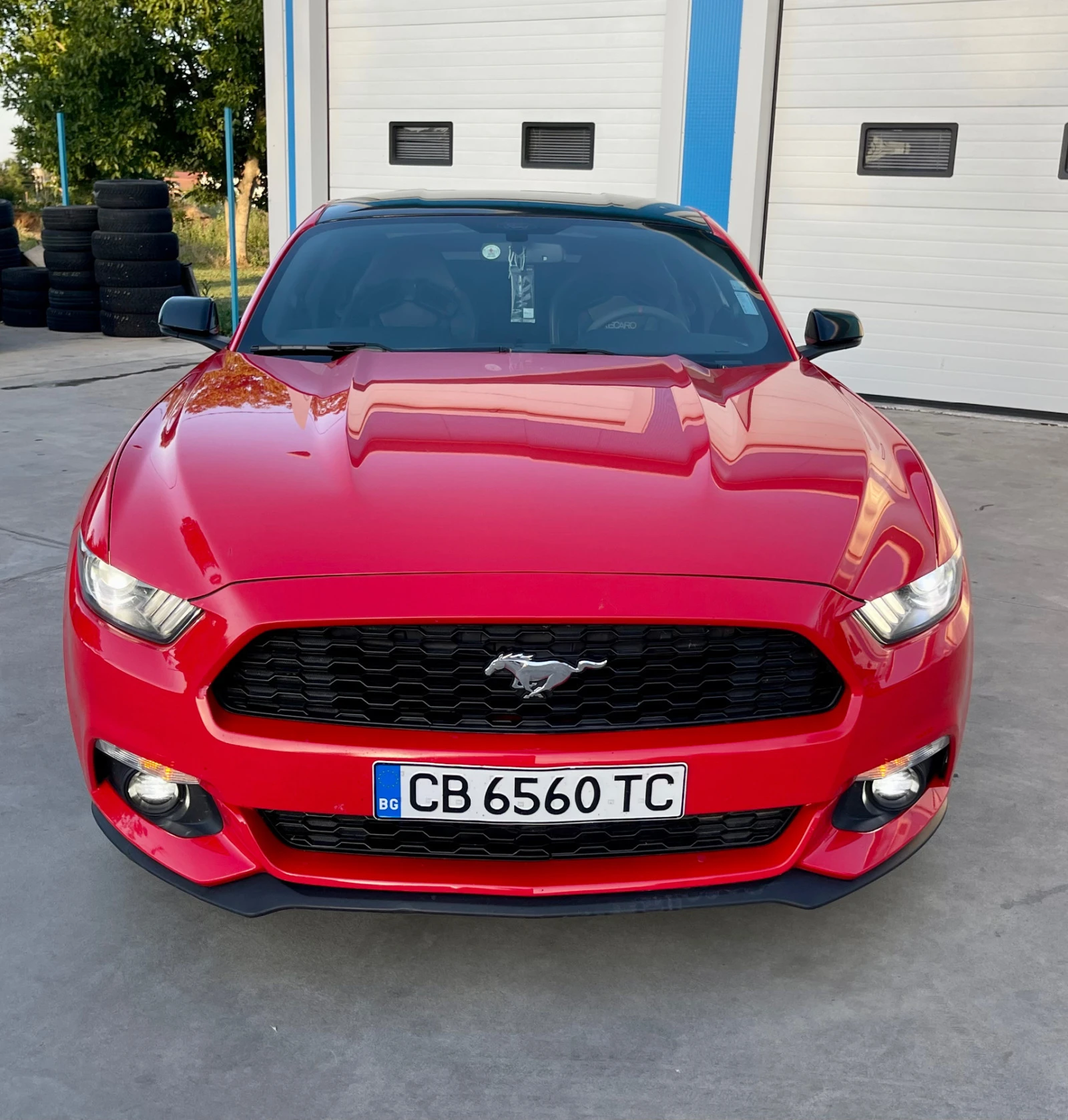 Ford Mustang Performance  - изображение 7