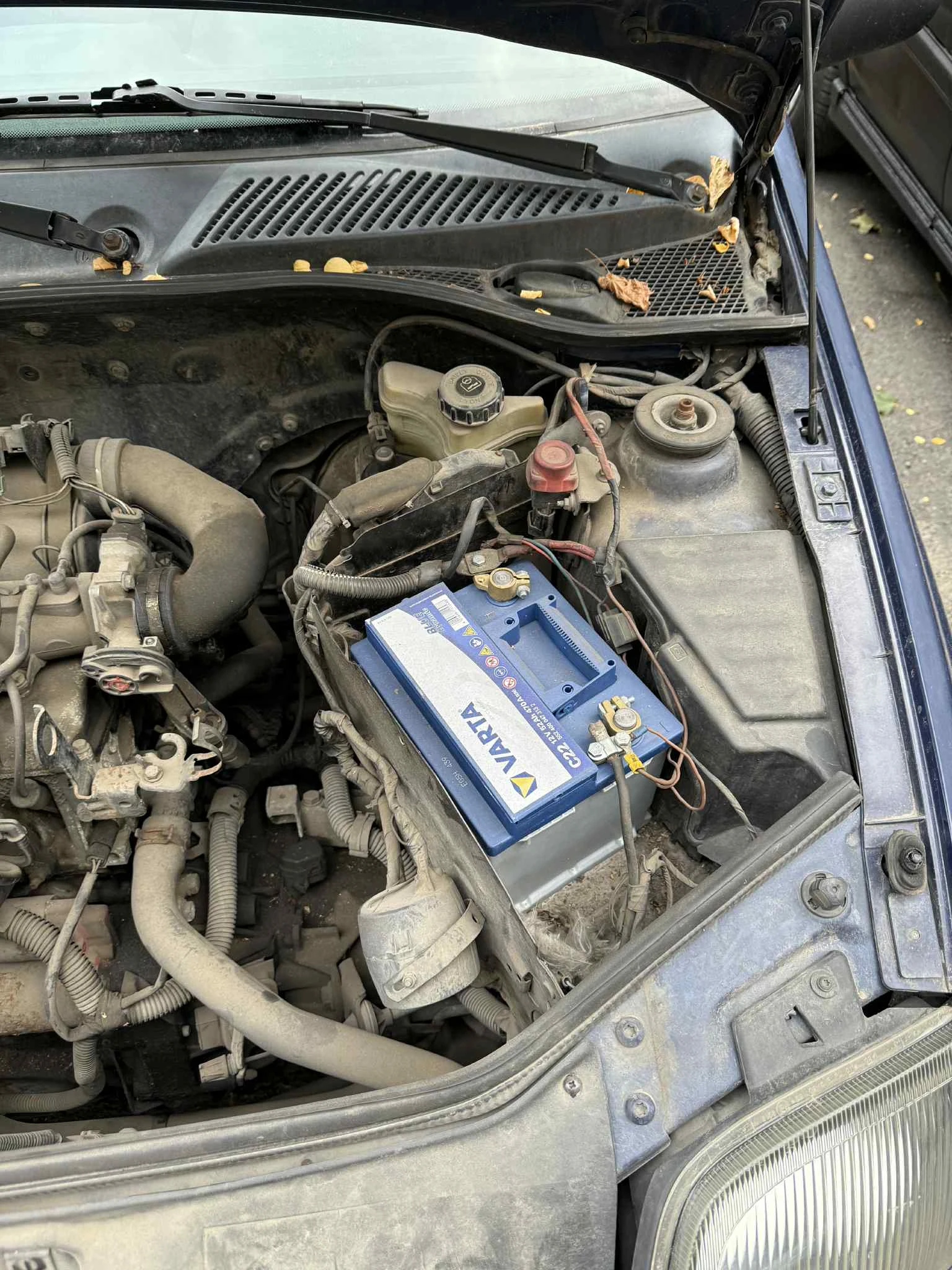 Renault Clio Рено клио 1.2 Бензин - изображение 3