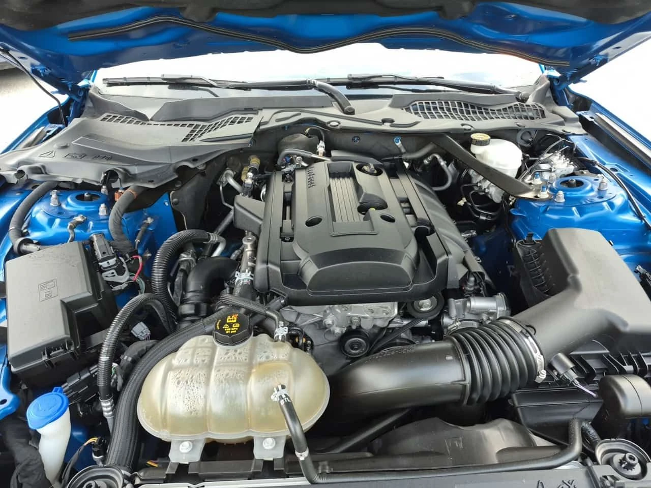 Ford Mustang * ECOBOOST PREMIUM * CARFAX * ЦЕНА ДО БГ, снимка 7 - Автомобили и джипове - 53999243