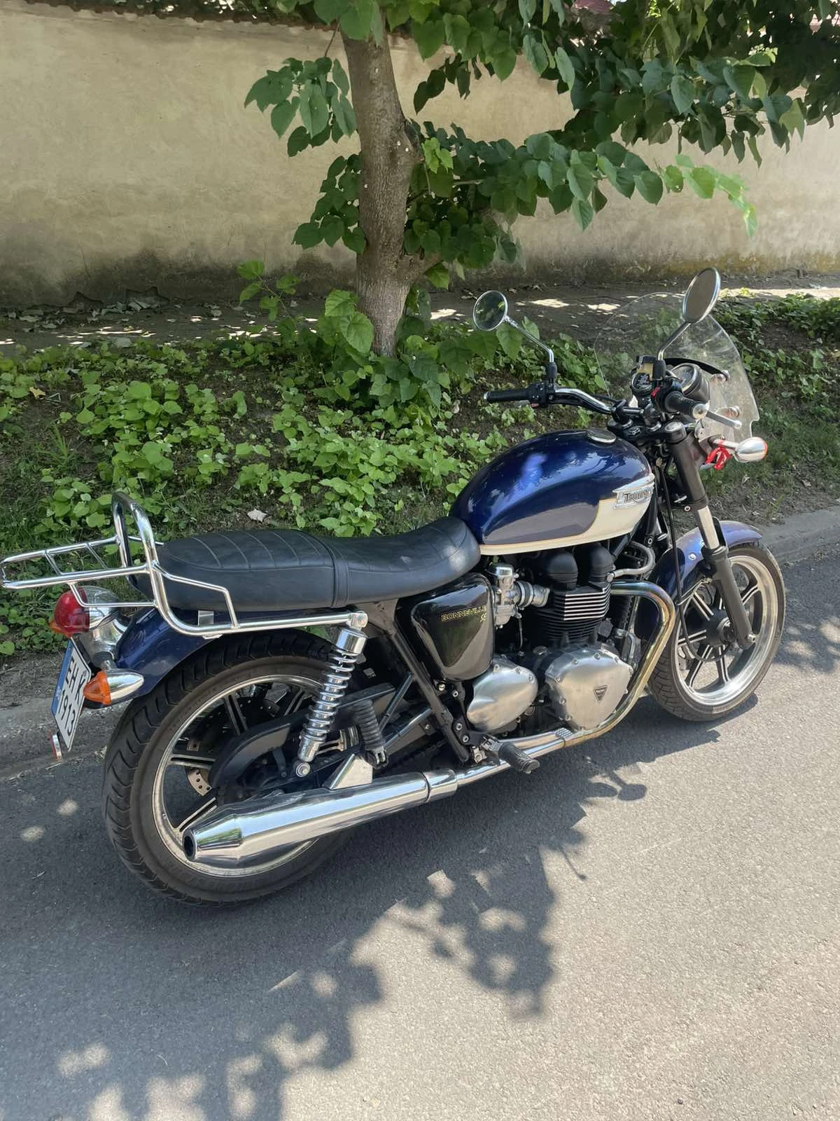 Triumph Bonneville T100  SE - изображение 2