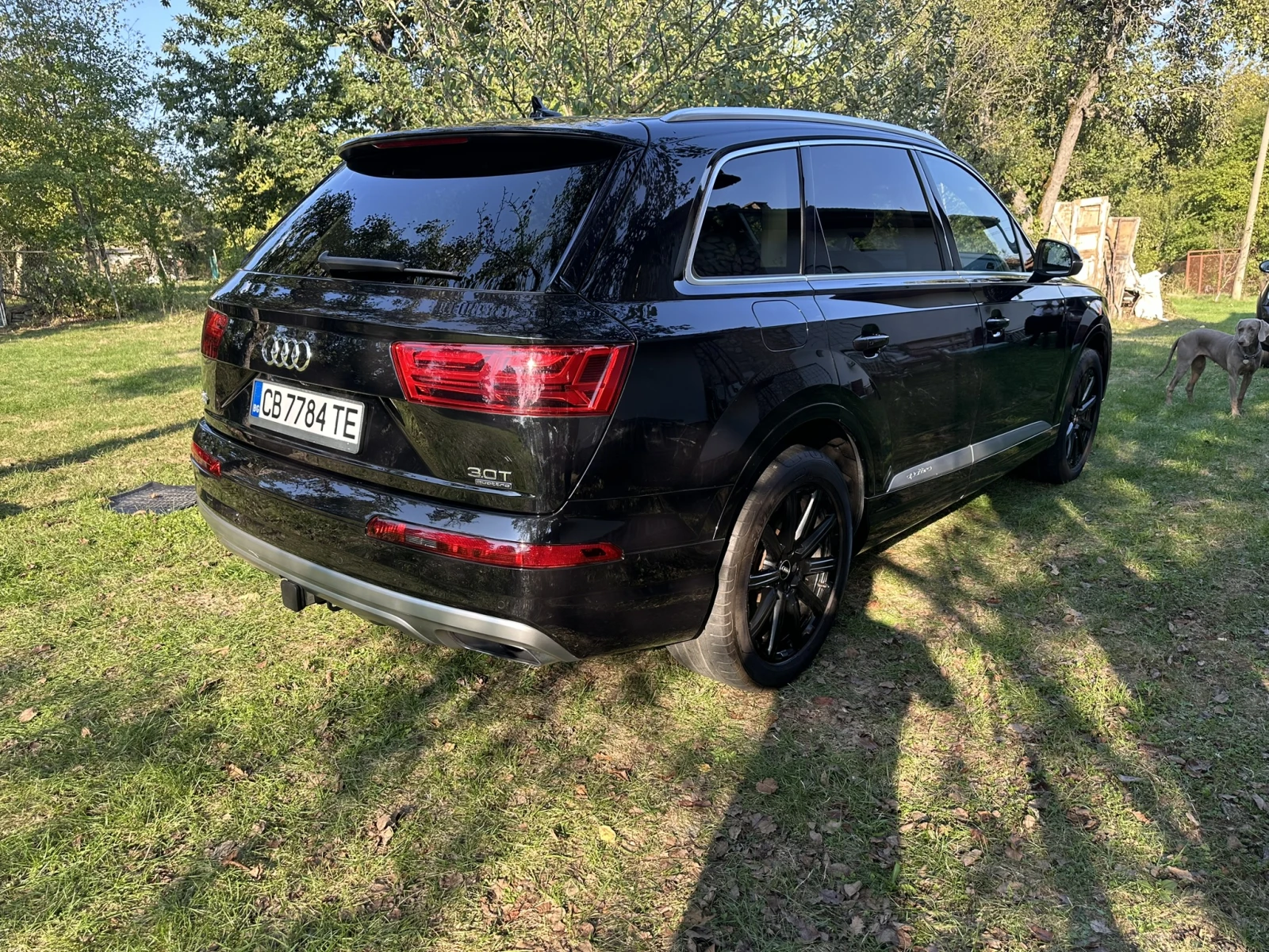 Audi Q7 Prestige - изображение 4