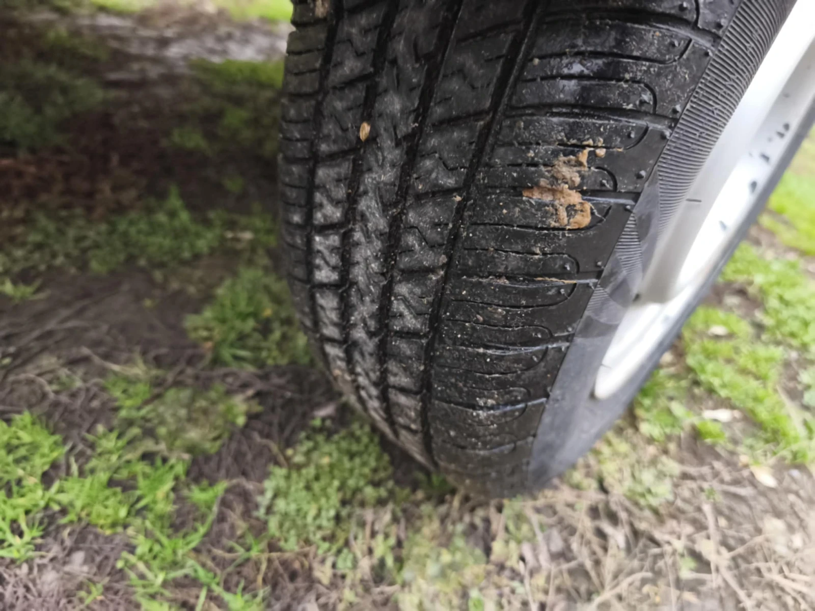 �� ��������� VW MEYER 750kg | Mobile.bg � ����������� 8