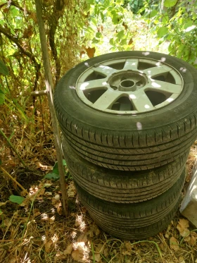    205/60R15  VW Passat | Mobile.bg    2