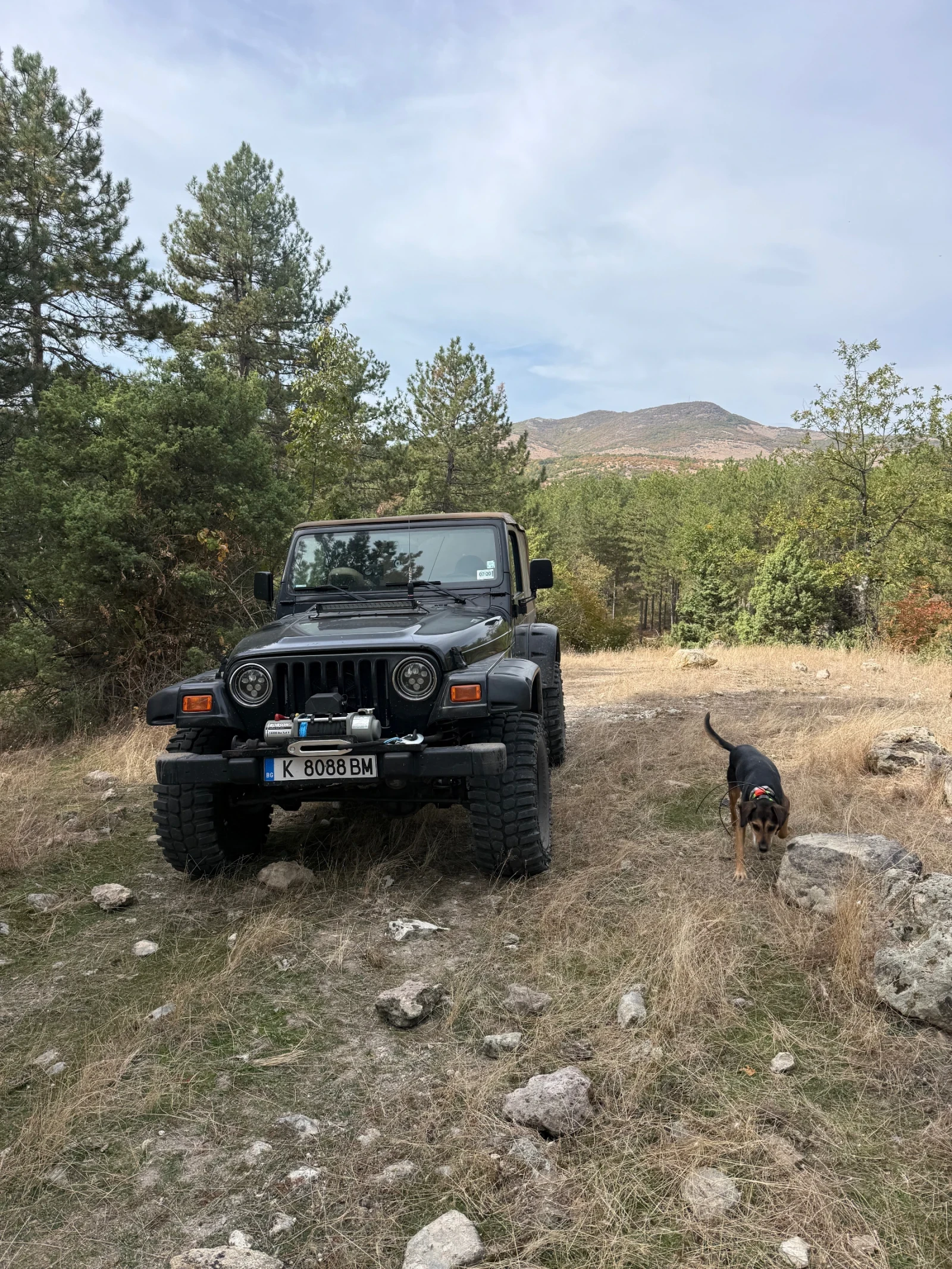 Jeep Wrangler TJ 4.0