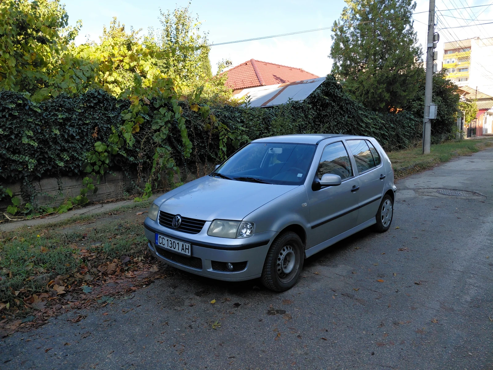 VW Polo