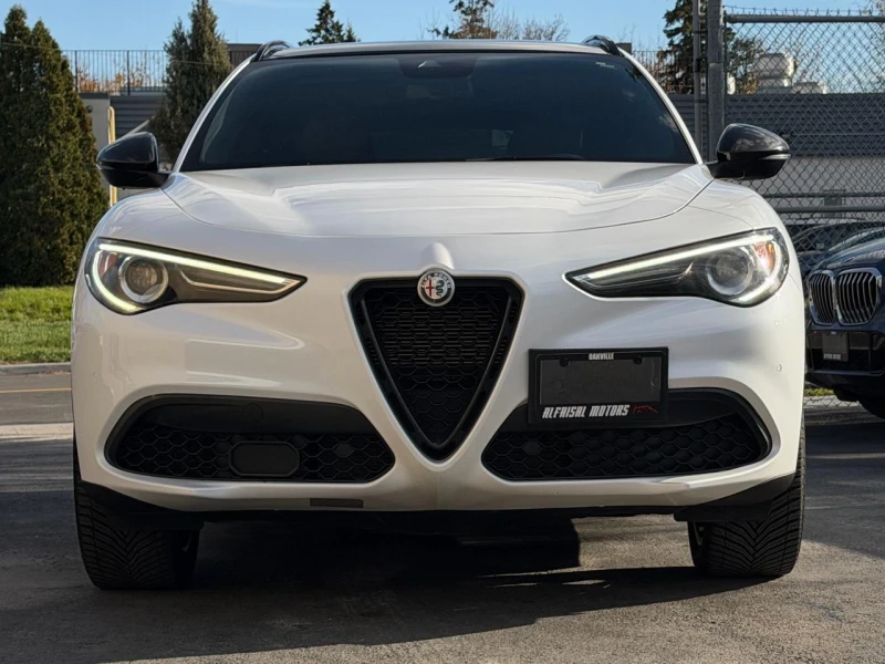 Alfa Romeo Stelvio 2.0T AWD / Ti Sport / Harman-Kardon /Carbon / PANO, снимка 3 - Автомобили и джипове - 52749840