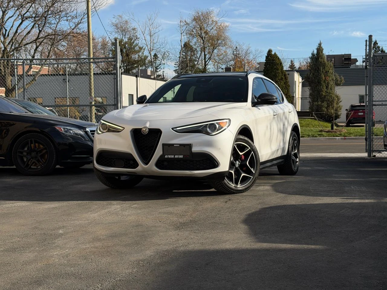 Alfa Romeo Stelvio 2.0T AWD / Ti Sport / Harman-Kardon /Carbon / PANO, снимка 1