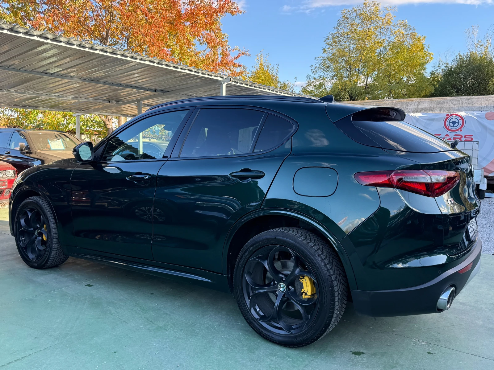 Alfa Romeo Stelvio Q4 - изображение 6