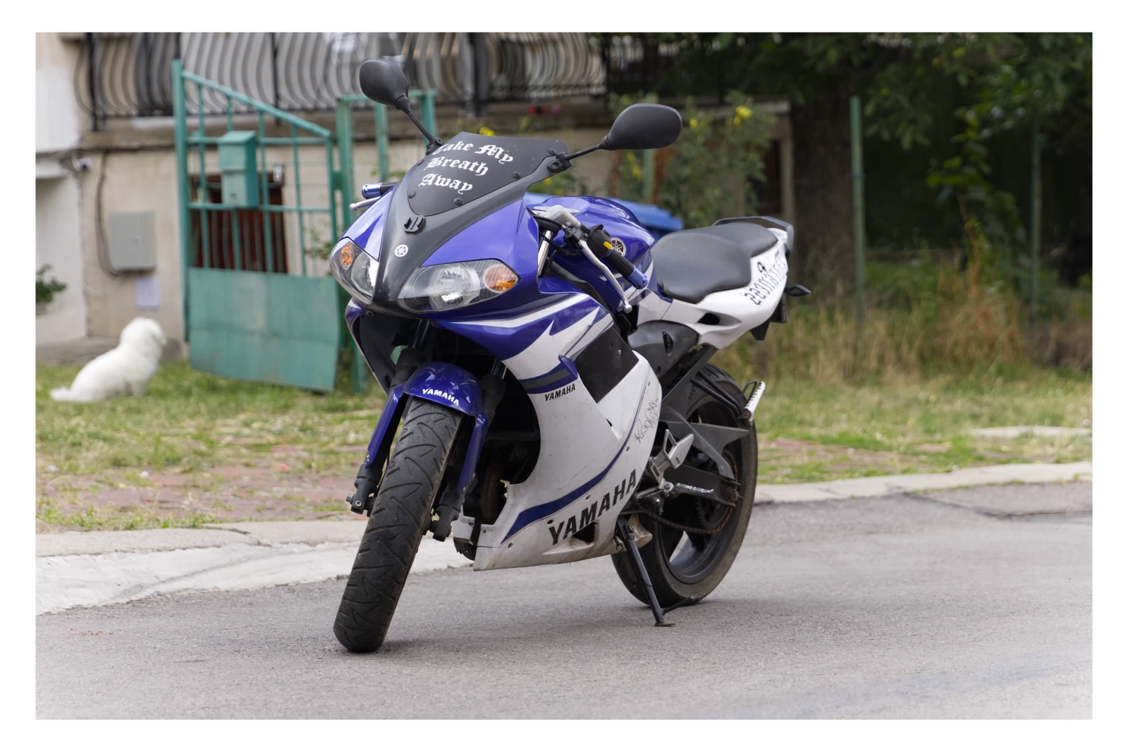 Yamaha Tzr
