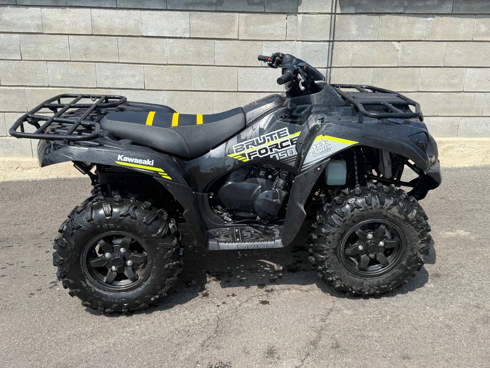 Kawasaki Brute Force 750 