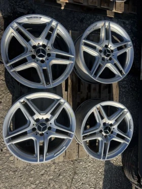 ������ ������ ���� ������� ...