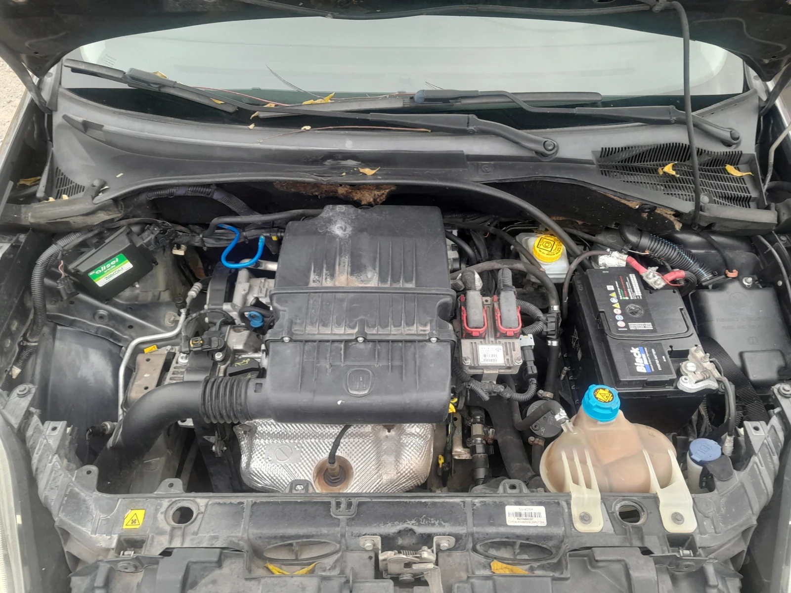 Fiat Punto 1.2i  EVO ГАЗ | Mobile.bg — изображение 12