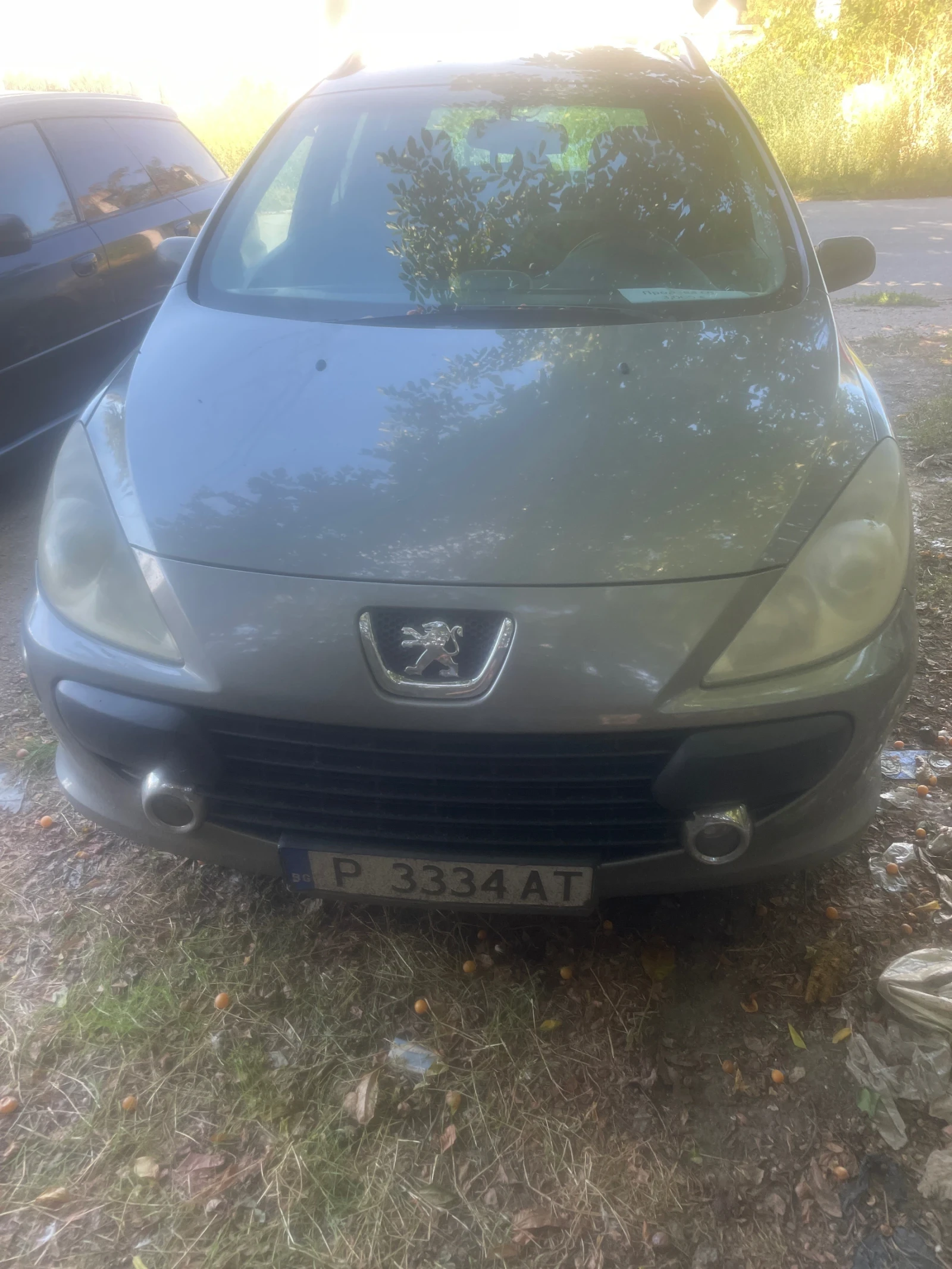 Peugeot 307 sw