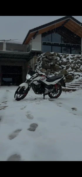 Honda Cbf Нов двигател, снимка 4