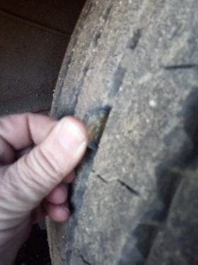 ����������� Krone SDP27 | Mobile.bg � ����� ������ 9