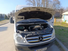 Mercedes-Benz 313, снимка 10 - Бусове и автобуси - 53666892