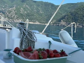 Ветроходна лодка Dufour Classic 38, снимка 7