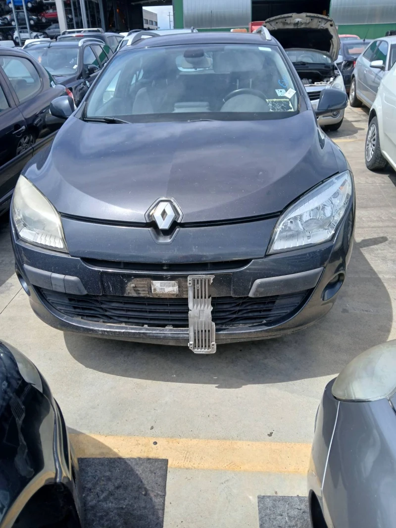 Renault Megane 2.0dci, снимка 2 - Автомобили и джипове - 49999310