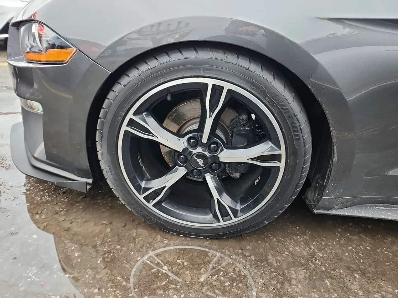 Ford Mustang * EcoBoost * CARFAX * ���� �� �� | Mobile.bg � ����������� 11