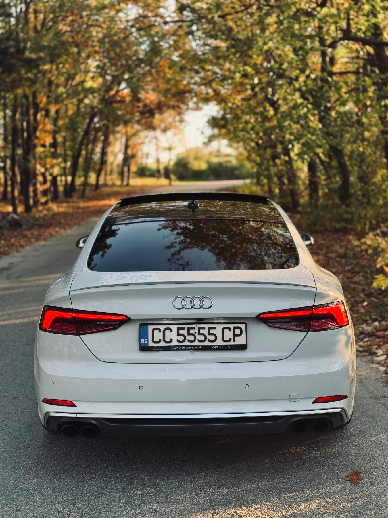 Audi S5, снимка 2 - Автомобили и джипове - 55324967
