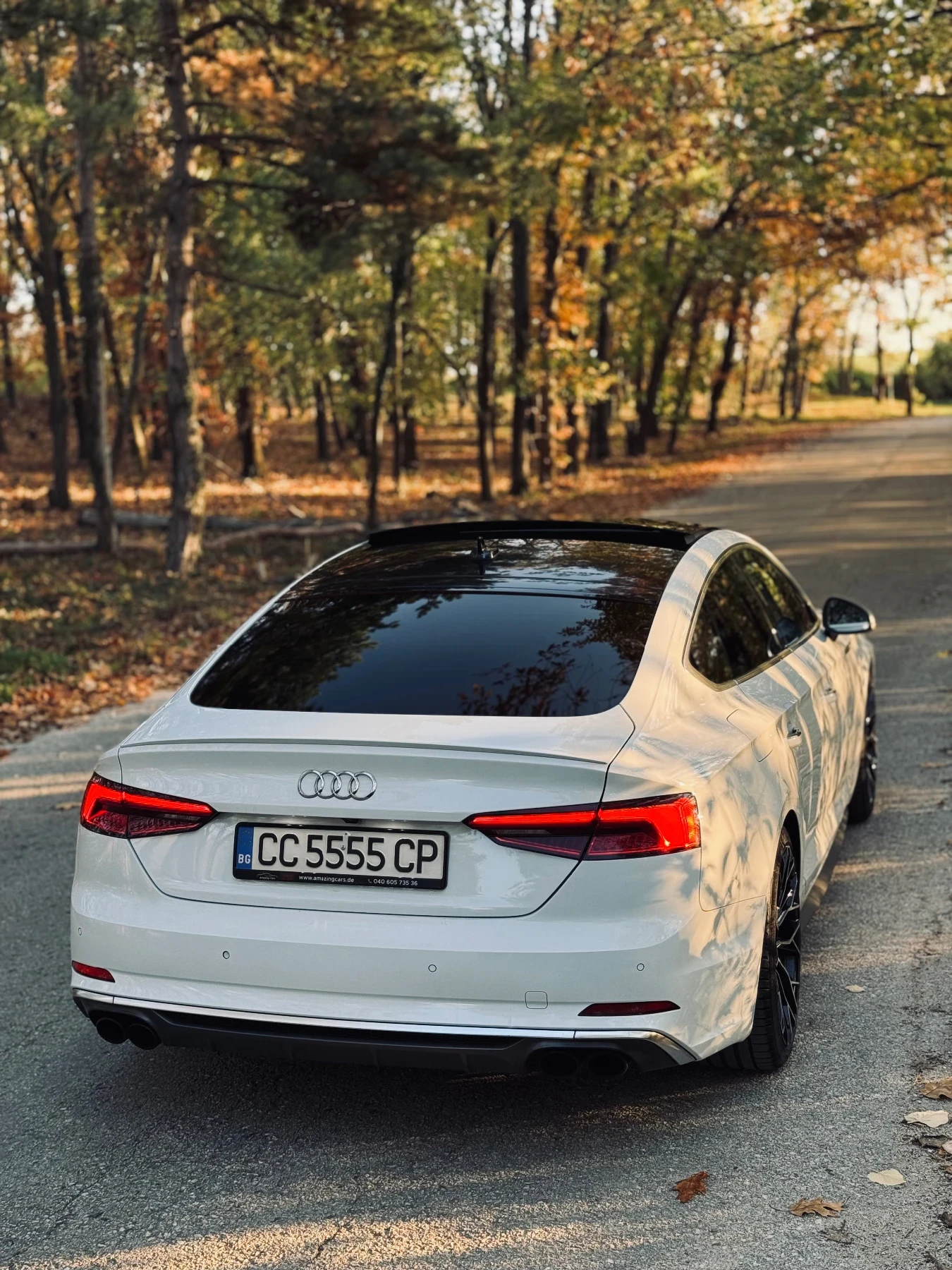 Audi S5, снимка 3 - Автомобили и джипове - 55324967
