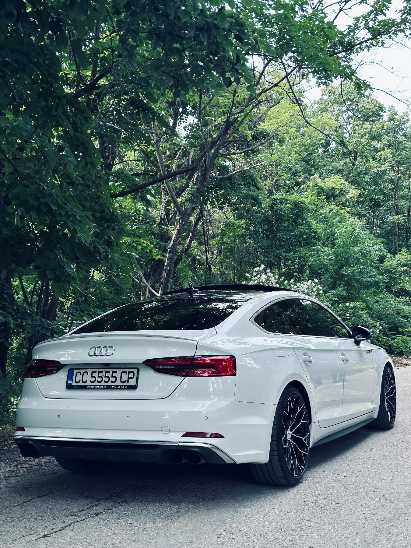Audi S5, снимка 8 - Автомобили и джипове - 55324967