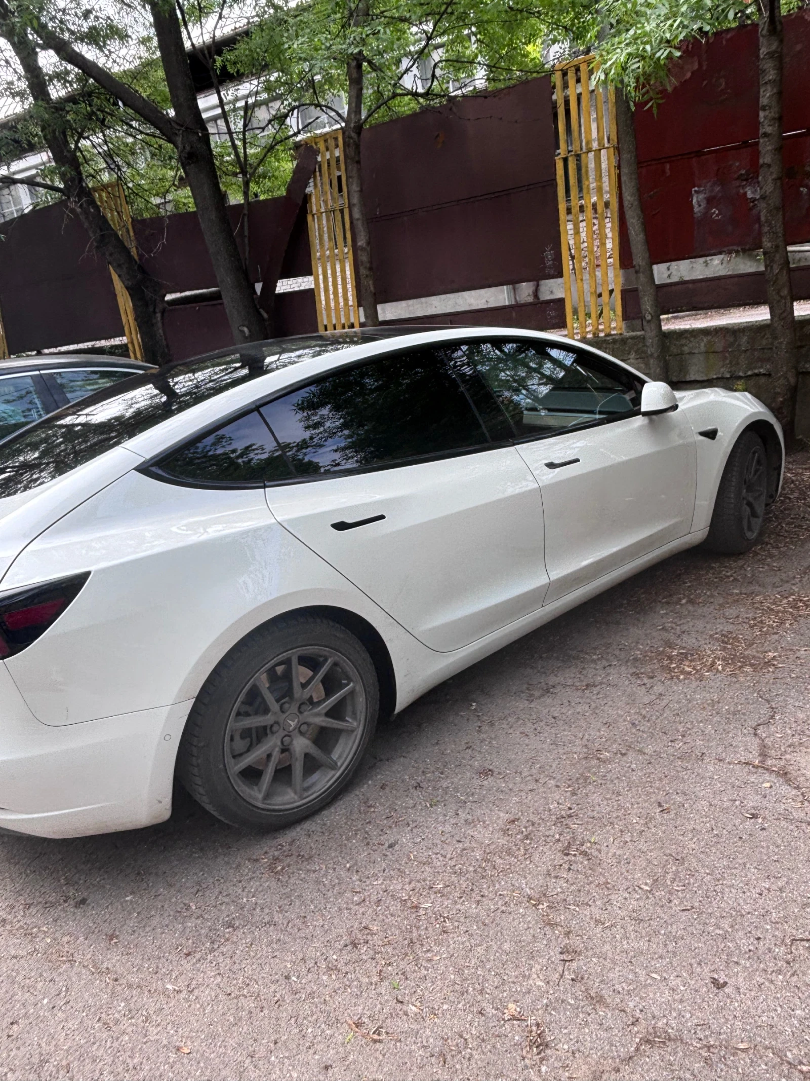 Tesla Model 3, снимка 2 - Автомобили и джипове - 54579811