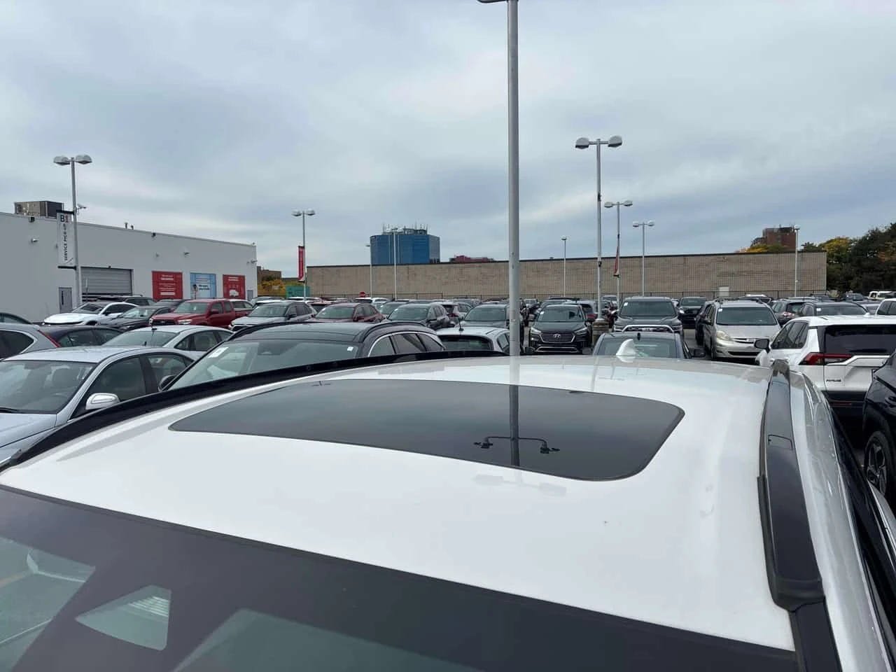 Honda Cr-v * Sport * CARFAX *  | Mobile.bg � ����������� 13