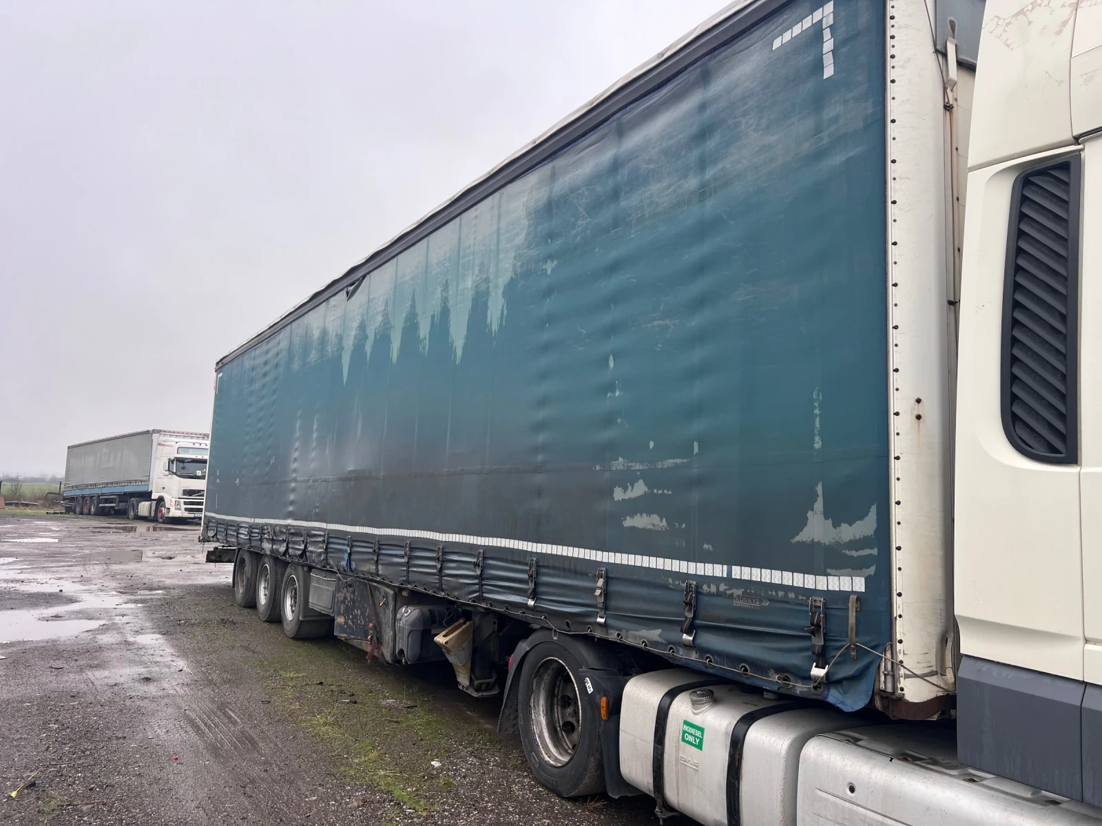  Koegel | Mobile.bg   1