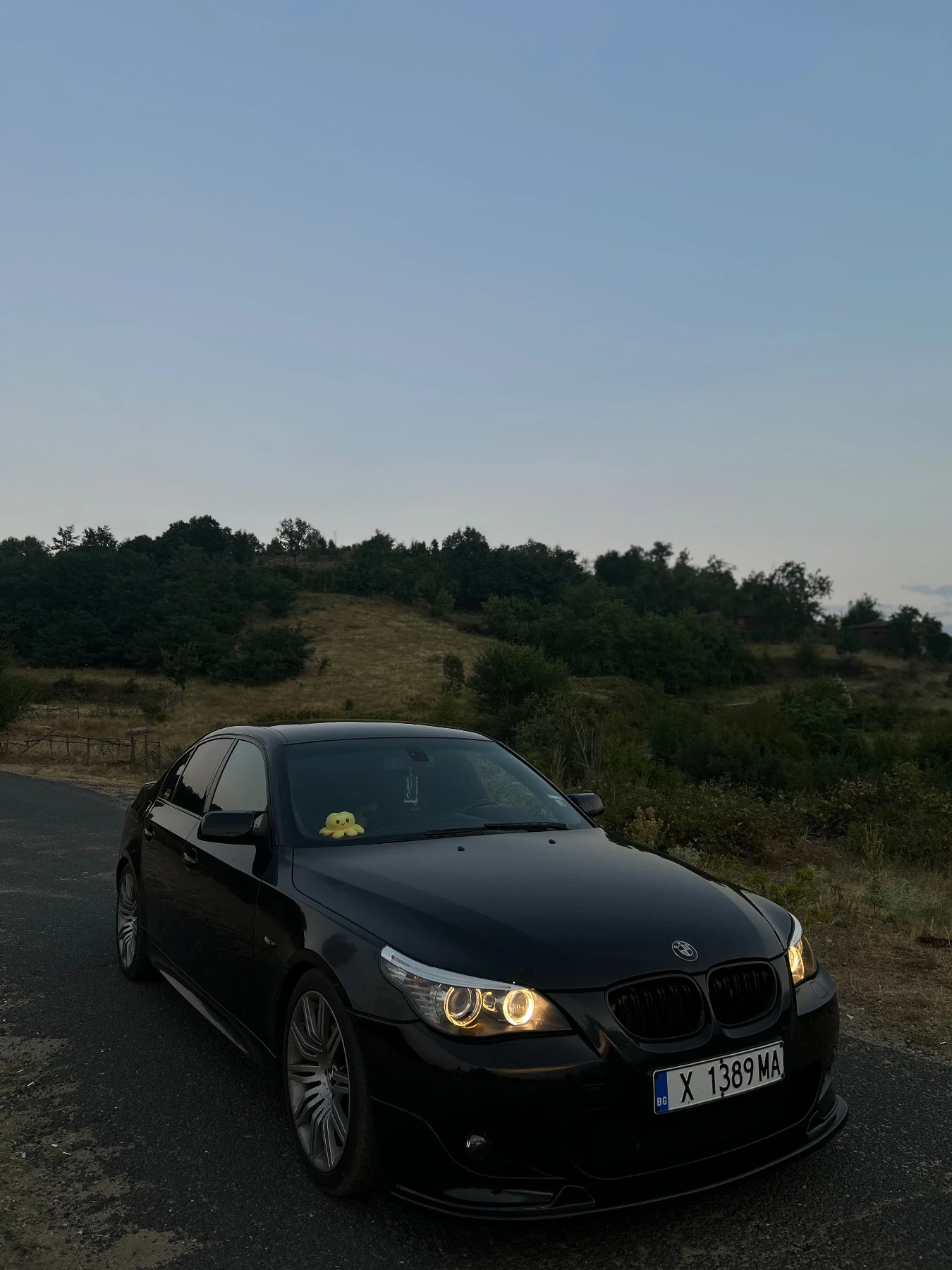 BMW 530  - изображение 5