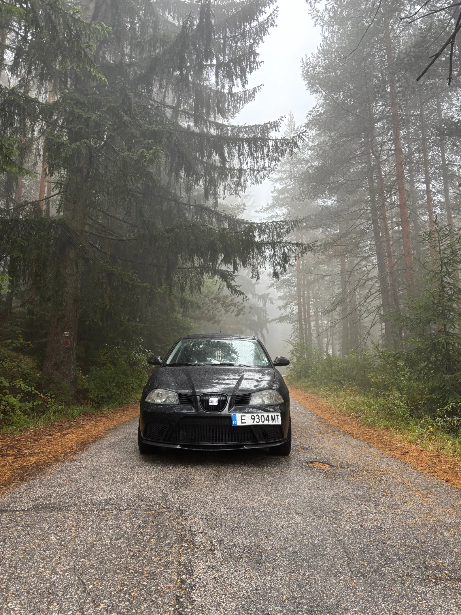 Seat Ibiza | Mobile.bg � ����������� 3