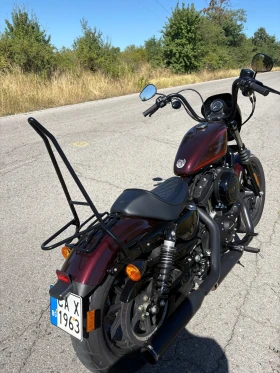 Harley-Davidson Sportster  1200, снимка 3