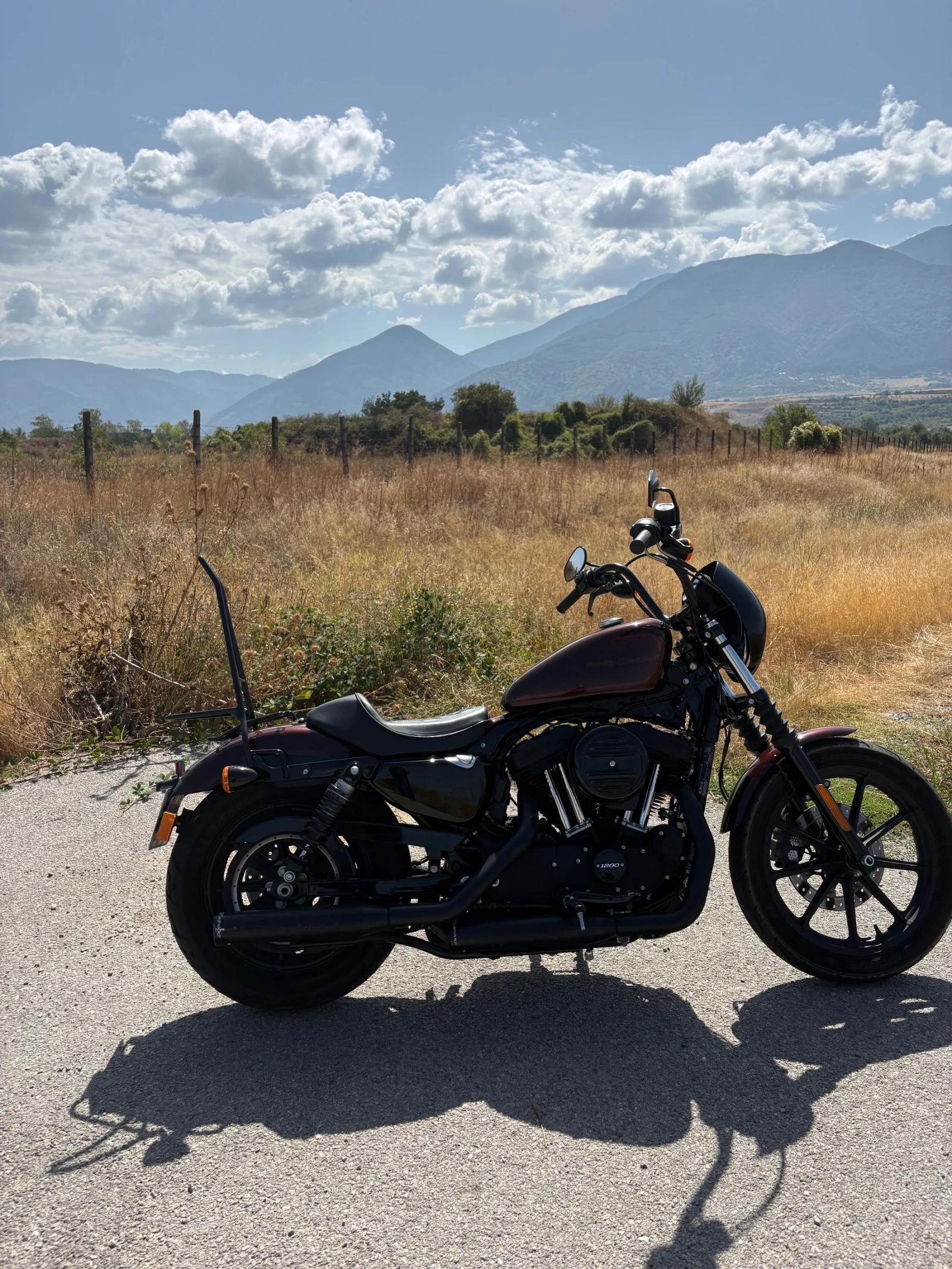 Harley-Davidson Sportster  1200